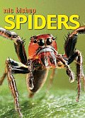 nic-bishop-spiders.jpg